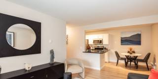 Lumina Apartments Gallery 27