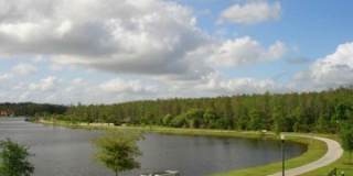 Beautiful Townhome in Lake Nona Gallery 31