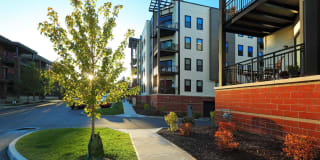 Excelsior Park Gallery 9