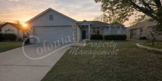 AVAILABLE SOON ! Gallery 1