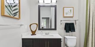 Axis Camelback Gallery 12