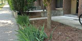 Haven on Geddes Gallery 10