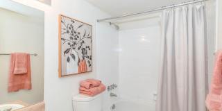 Sunset Vista Apartments Gallery 17