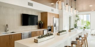 Apex Laguna Niguel Gallery 18