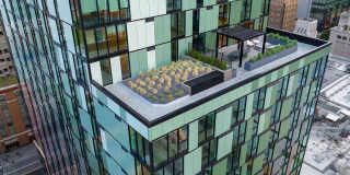 The George Gallery 11