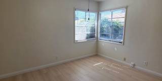 2904 Sunset Ave - Apartment Gallery 13