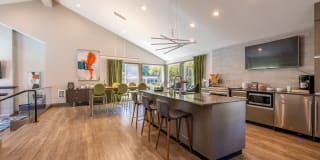 The Seasons Gallery 23