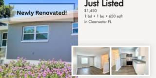 1265 Pierce Street - 1 Gallery 1