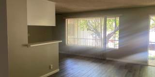 Spacious 1 Bedroom 1 Bath Upstairs Apartment Gallery 8