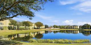 Orchard Grove Apartments Gallery 5
