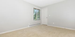 Carrington Gallery 62