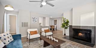 Mallard Creek Gallery 24