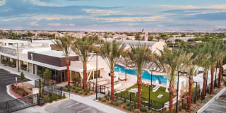 Tanager Tanager Gallery 8