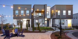 Cyrene at Meadowlands Gallery 40