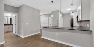 The Aster Gallery 79