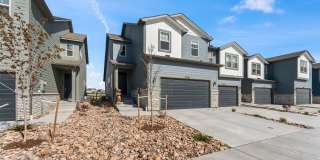 8067 Grey Bark Way Gallery 1