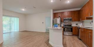 The Maddox Gallery 11