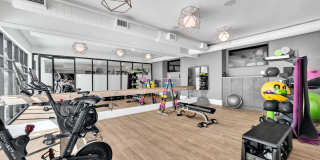 Alta Purl Gallery 65