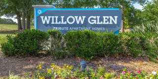 Willow Glen Gallery 4