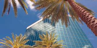 Pearl at Flagler Village Gallery 49