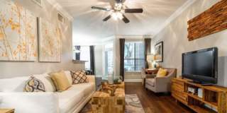 10082 Great Hills Trail Gallery 1