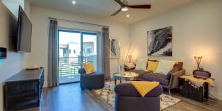 The Aviator Gallery 47