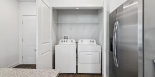 Ascend at Carlton Gallery 29