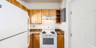 Richard Allen Gardens Gallery 24