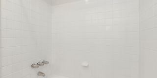 Whitestone at Landmark Gallery 46