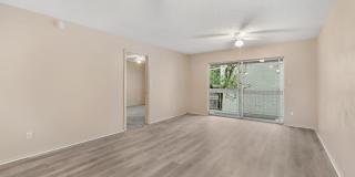 Cozy 2 Bed 1.5 Bathroom in Temple Terrace Gallery 15