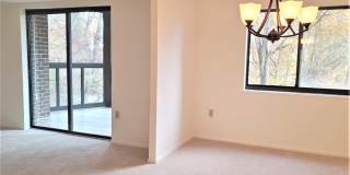 15100 INTERLACHEN Drive Gallery 10
