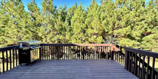 1218 Clingman Drive Gallery 24