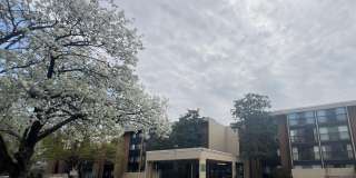 2921 N LEISURE WORLD Boulevard Gallery 1