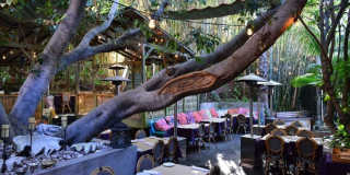 3535 Ellsworth Street Apartments Gallery 55