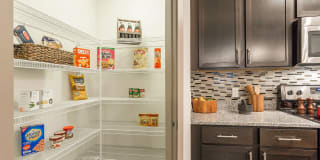 Orchid Run Apartments Gallery 18