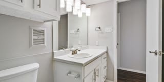 The Bruin Gallery 15