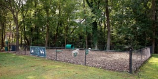 Dwell at Carmel Gallery 14