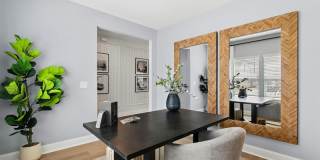 Skymor Panola Gallery 23