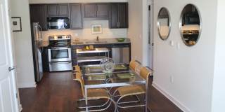 Vyne On Central Gallery 13