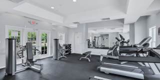 Reid's Prospect Gallery 17