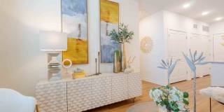 Isla Palmetto Gallery 8