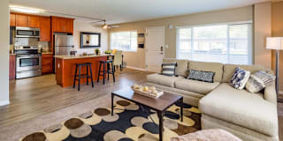 Vista Torre Gallery 30