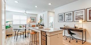 The Magnolia at Georgetown Gallery 1