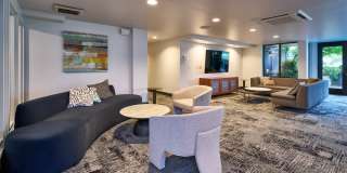Alcyone Gallery 22