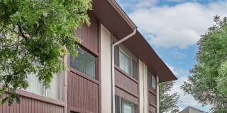 Shannon Hills Gallery 15