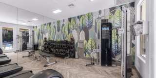 Sofi Canyon Hills Gallery 2