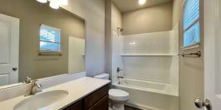 Mangold831 (KC-LN) Gallery 35