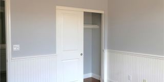 132 Island Coral Gallery 27