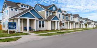 Mihir Taylor Gallery 2