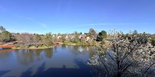 Beautiful Lakefront Home in the Vineyard! 55+ community Gallery 40